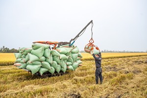 Alta calidad Hogico GS 80VN/Plus 80HP 4WD rueda camión duradero combustible caja de cambios nuevo motor de transporte agrícola caliente barato inferior - Product Image 2