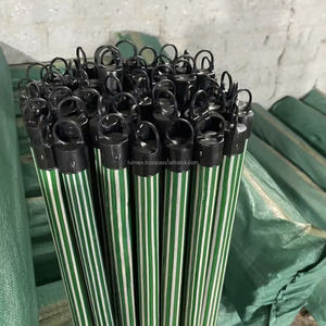 Colorido 120cm respetuoso con el medio ambiente Durable eucalipto madera Italia hilo Vietnam escoba palo PVC escoba cabeza madera recogedor - Product Image 1
