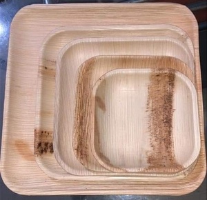Nouvelles assiettes carrées compostables pour la restauration professionnelle et les fêtes, lot de 10+8 pouces pour restaurants élégants et fast-foods - Product Image 4