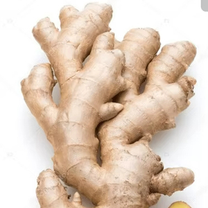 Prix direct usine, Vente chaude, Haute qualité, Vente en gros, Qualité exceptionnelle, Gingembre frais en vrac, Gingembre frais biologique, Légume frais en vrac - Product Image 1