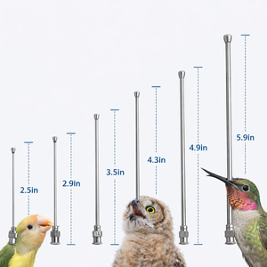 Cánulas de Alimentación para Aves – Hechas de Acero Inoxidable de Alta Calidad - Product Image 3