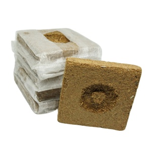2025 tinh khiết nông nghiệp xơ dừa sản phẩm cocopeat phát triển Cubes sử dụng cho cây giống vườn nảy mầm Vườn Ươm màu xanh lá cây nhà trang trại Sri Lanka - Product Image 4