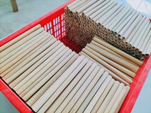 หลอดไม้ไผ่ธรรมชาติปกป้องสุขภาพและการปกป้องสิ่งแวดล้อมจากเวียดนาม - Product Image 4