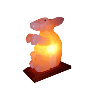 Lámpara de Sal del Himalaya, Artículo de Regalo de Primera Calidad, Proveedor de Exportación, Precio Competitivo y Entrega Rápida - Product Image 4
