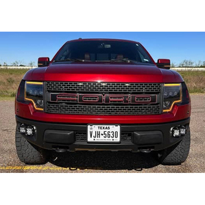 Ford F-150 SVT Raptor Edición Especial 2014 - Product Image 1