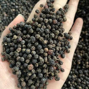 Pimienta Negra Vietnamita en Polvo Granulada de Primera Calidad 550GL, Pimienta Triturada para Sazonar Carne de Res - Product Image 1