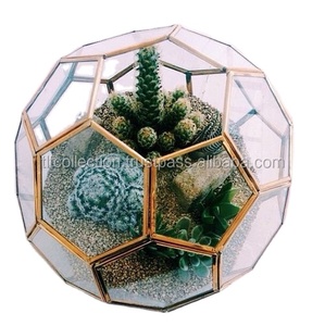 Florero de vidrio para decoración del hogar, Terrario de planta de vidrio geométrico, rectangular, oro rosa, flores de invernadero - Product Image 6