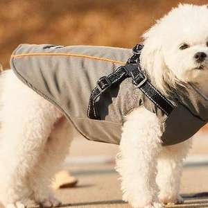 Cappotto per Cani con Fodera in Pile Caldo e Imbracatura, 6 Colori, Taglie S-5XL, Abbigliamento per Animali Domestici Comodo ed Elegante - Product Image 1