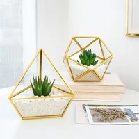 Boîte en verre durable, terrarium en métal, pot de fleurs moderne et élégant, vase de table, présentoir pour plantes d'intérieur, décoration de la maison, Diwali