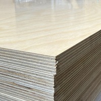 Contreplaqué en érable, pin et bouleau, bois et bois franc, prix du contreplaqué de 3 à 30 mm