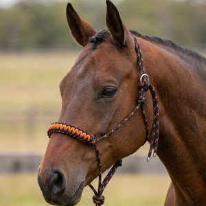HM GLOBAL Cuerda de Nylon Trenzado Multicolor de Alta Calidad, Duradera y de Larga Duración, con Herrajes de Hierro Niquelado para Caballos Western - Product Image 5