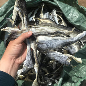 Piel de bacalao secada al sol, grado A, certificada HACCP, 100% pura, envasado a granel, Lily - Product Image 1