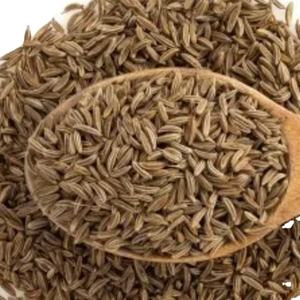 Graines de Cumin épices et herbes simples à vendre - Product Image 5