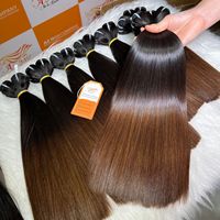 Meilleure Qualité Super Double Drawn Cheveux Humains Bruts Vietnamiens à Pointe Brune Pleine Épaisseur, Paquets de Cheveux Humains, Liste de Prix de Gros