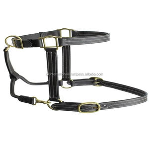 <b>Heavy</b> <b>Duty</b> Construction Triple Stitched Fancy Leather horse halter in customized sizes and colors at Wholesale Factory price - Product Image 3