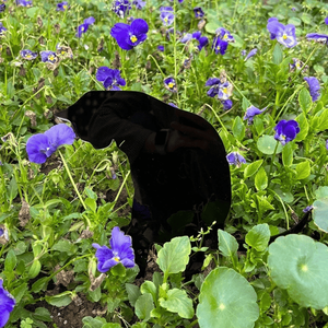 Statua da Esterno in Metallo Gatto Nero CIFbuy, Decorazione da Giardino Traforata per Halloween con Servizio di Ritiro da TikTok - Product Image 6
