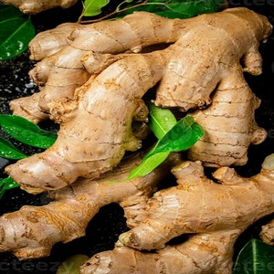 Nouvelle récolte de gingembre frais à vendre - Racine de gingembre de qualité supérieure du Brésil - Saveur épicée et parfumée - Exportateurs de gingembre - Product Image 3