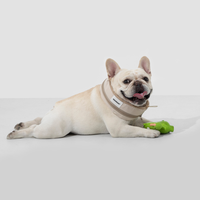 Écharpe rafraîchissante instantanée pour chien - Collier rafraîchissant pour animaux de compagnie en polyester à séchage rapide pour bouledogues français
