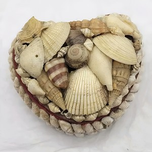 Seashell Cover Heart Shaped <b>Boxes</b> Wholesale Jewelry Ring <b>Earring</b> Bracelet Container Box with Red Velvet - Product Image 2