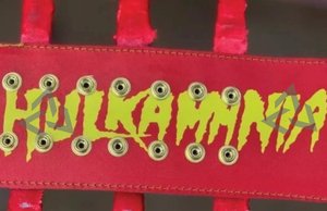 Cinturón de Campeonato de Lucha Libre Personalizado W-W-E H-U-L-K H-O-G-A-N con Diseño de Águila Alada, Ligero, Duradero, Transpirable y Ecológico - Product Image 6