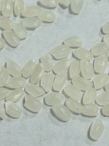 Substitut de riz shiratake naturel, végétalien, sans gluten, faible en glucides, vente en gros, prix d'usine, livraison rapide - Product Image 5
