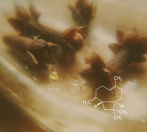 Bêta-caryophylène 95% (CL-603) Van Aroma - Product Image 2