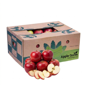 Corrugated Cardboard <b>Box</b> For Agriculture Shipping Moisture Resistant High Load Capacity Export Standard Packaging Solution - Product Image 4