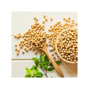 Graines de moutarde noire 100% biologiques, fraîches et d'origine indienne, vente en gros, offre spéciale - Product Image 1