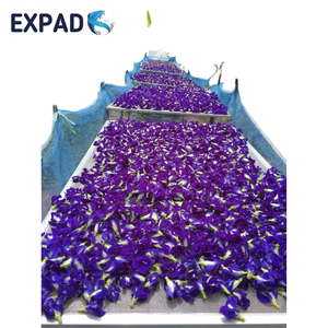 Premium Butterfly Pea Flowers For <b>Tea</b> Natural Food Coloring Ingredient For Beverage And Bakery Production - Product Image 6