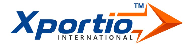 STEADPORT INTERNATIONAL PRIVATE LIMITED logo