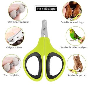 <b>Dog</b> Grooming <b>Scissors</b> Plastic Portable Stainless Steel Blade Multi-functional Eco-Friendly Pet Grooming By Dentavex Corporation - Product Image 1