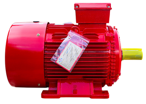 Moteur électrique triphasé AC en fonte résistant à la chaleur classe C, service OEM, boîtier en fonte IP55 IP56 - Product Image 5