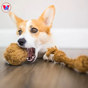 Disponible en gros : Boule à mâcher en fibre de coco du Vietnam, jouet non toxique en coque de noix de coco pour lapins, hamsters et petits animaux - Product Image 5
