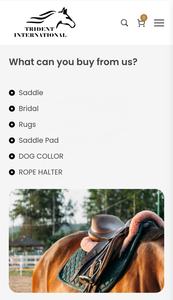 TI101OA053 Silla de montar western personalizada de marca, cuero sintético PU, asiento suave, armazón de fibra de vidrio, herrajes de acero inoxidable - Product Image 5