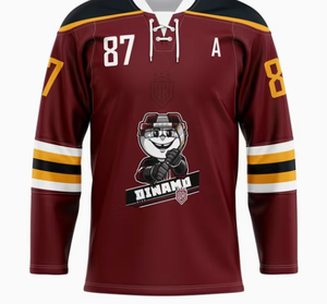 Maillot de hockey sur glace personnalisé, respirant, à séchage rapide, en polyester, nom de l'équipe, numéro du joueur, manches longues, col en V, vêtements de sport - Product Image 1