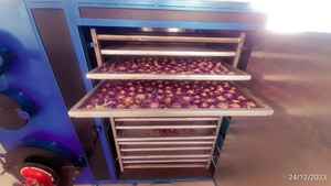 Flores de Loto Azul Secas de Sri Lanka (Flores Reales), Naturales, Ecológicas, para Uso Medicinal, Bebida de Hojas - Product Image 2