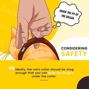 BURAQ Durable Reflective Cat <b>Collar</b> with Rivet Decoration Safety Breakaway Buckle Adjustable Soft Nylon for Medium Cats - Product Image 2