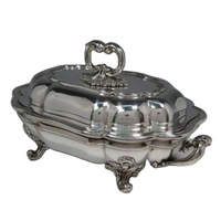 Servant des aliments de qualité accrocheur Plat à friture en métal de haute qualité Meilleure vente Dernier style de chauffe-aliments Affichage Chaffer By TCD