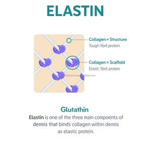 Collagène de cerise à tarte coréenne de qualité supérieure 300Da Gluta Elastin Gummy OEM - Product Image 6
