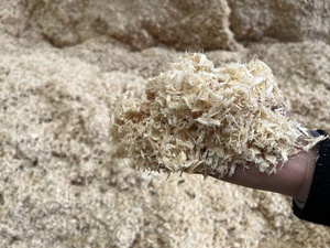 Astilladora de madera de acacia de humedad 6% de alta calidad, virutas de madera cruda seca, aserrín para mascotas pequeñas, residuos agrícolas disponibles - Product Image 3