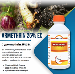 Armethrin 25% EC Insecticida <span class=keywords><strong>para</strong></span> el Control Efectivo de Mosquitos, <span class=keywords><strong>Moscas</strong></span> e Insectos Rasteadores, Producto Químico de Alto Rendimiento <span class=keywords><strong>para</strong></span> el Control de Plagas - Product Image 5