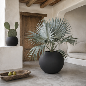 Maceta Negra en Forma de Bola para Jardín, Maceta Baja de Fibra de Vidrio Lisa para Uso en Interiores y Balcones, D45 x H34cm - Product Image 6