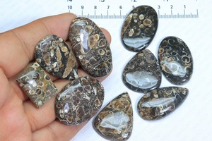 Magnifique agate Turritella, pierre précieuse, taille personnalisable, cabochon d'agate Turritella en vrac, formes variées pour la création de bijoux - Product Image 2