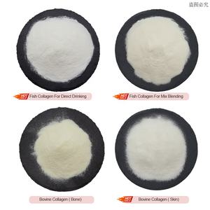 Hersteller preis Bulk Typ III Hydrolysiertes Rinder kollagen peptid Hautpflege-Kollagen pulver - Product Image 3