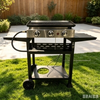 Barbecue à gaz en acier inoxydable avec table latérale pour le camping en plein air, les pique-niques et la maison - Bonnes ventes
