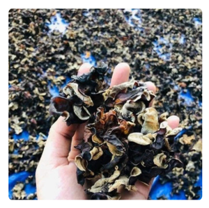 SETA DE HONGO NEGRO SECA PREMIUM DE VIETNAM | ALTA CALIDAD PARA EXPORTACIÓN - Product Image 4