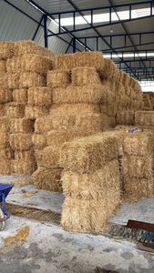 Vente en gros directe de fibre de coco d'usine | VIFARMEX Vietnam en vrac exportation de fibre de noix de coco avec services OEM - Product Image 3