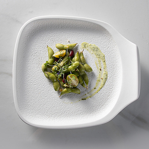 Plato Cuadrado Negro de Cerámica con Diseño de Roca para Servir Filetes y Salsas en Restaurantes Modernos, <span class=keywords><strong>Vajilla</strong></span> con Plato para Salsas, Venta al por Mayor - Product Image 4