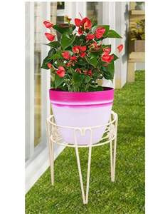 Support de pot de fleurs en fer de qualité supérieure, porte-plantes en métal robuste, idéal pour la terrasse, le salon, l'affichage en jardin - Product Image 5