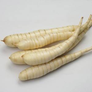 Poudre d'arrowroot de haute pureté – Ingrédient alimentaire naturel du Vietnam, export en vrac - Product Image 3